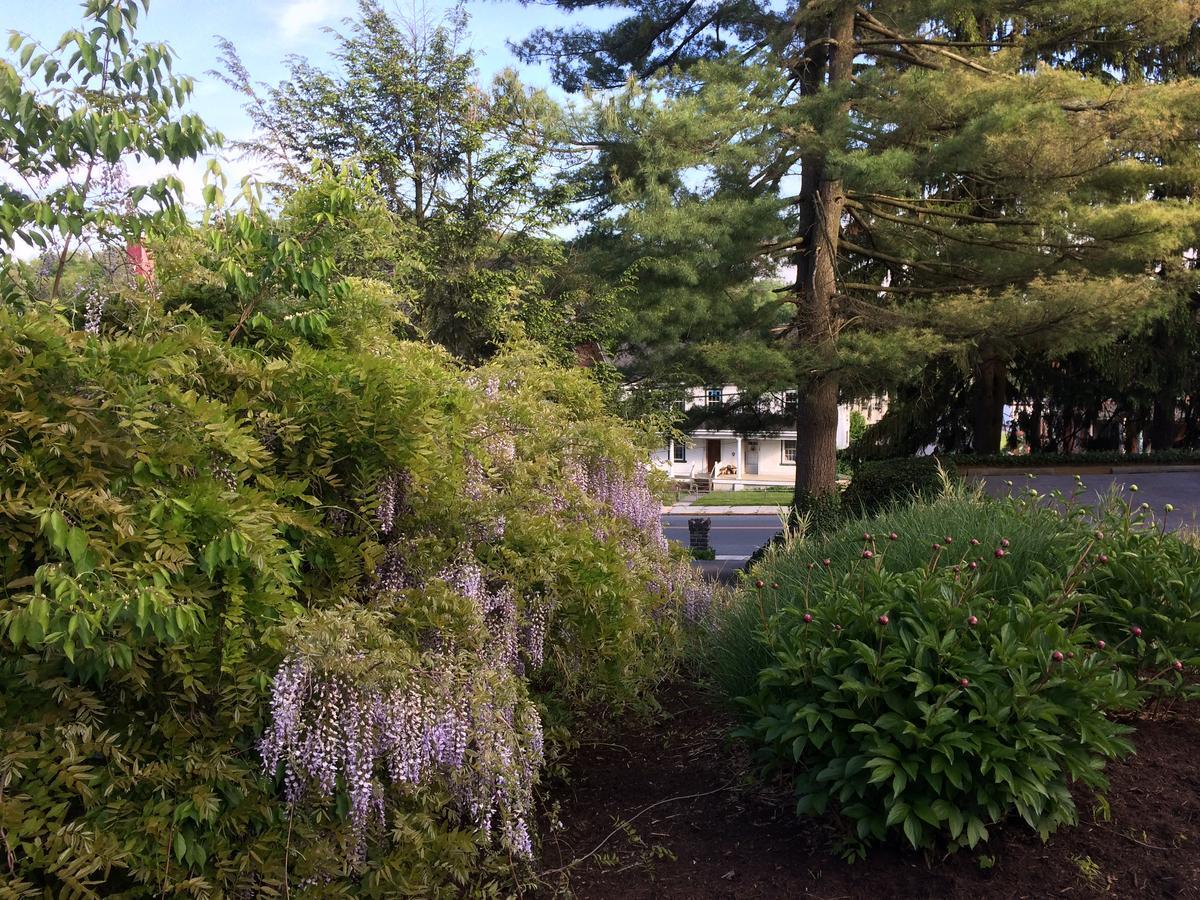 Amethyst InnAdamstown エクステリア 写真