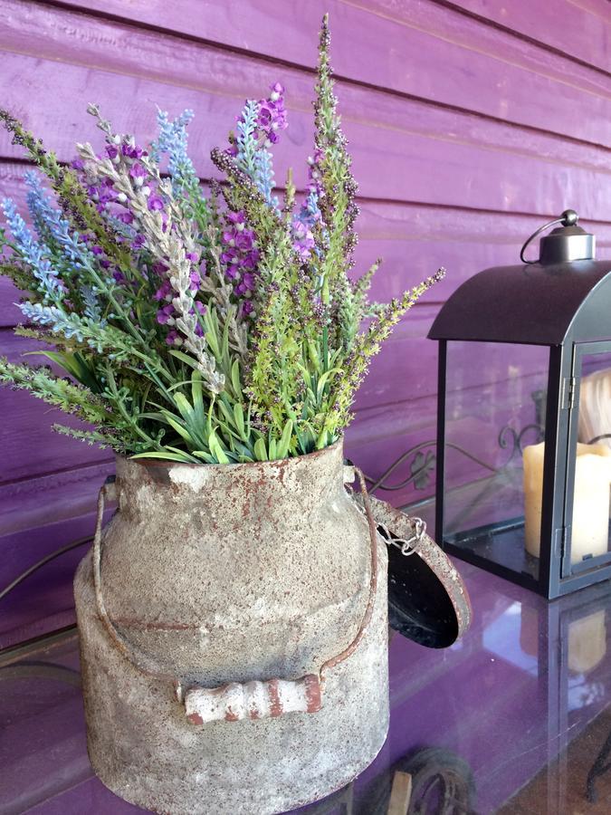 Amethyst InnAdamstown エクステリア 写真